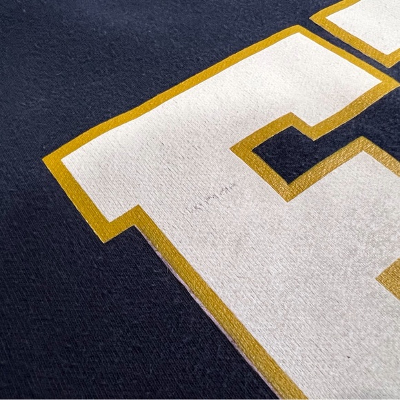 Vintage Jansport FIU Florida International University Panthers Big Logo Crewneck - Picture 10 of 10